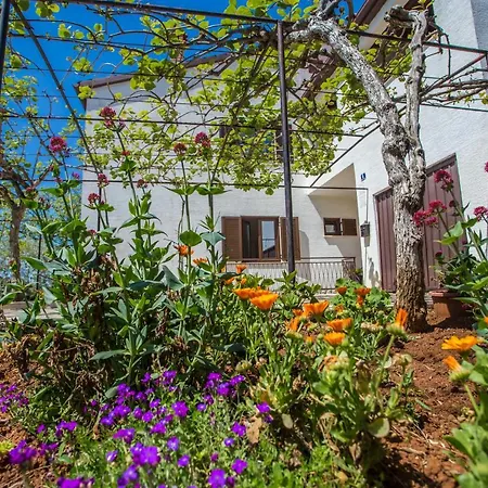 Porec Accommodation *