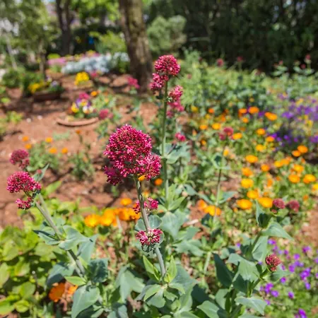 Apartman Porec Accommodation *