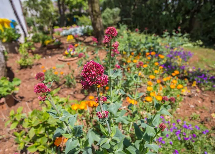 Lägenhet Porec Accommodation *