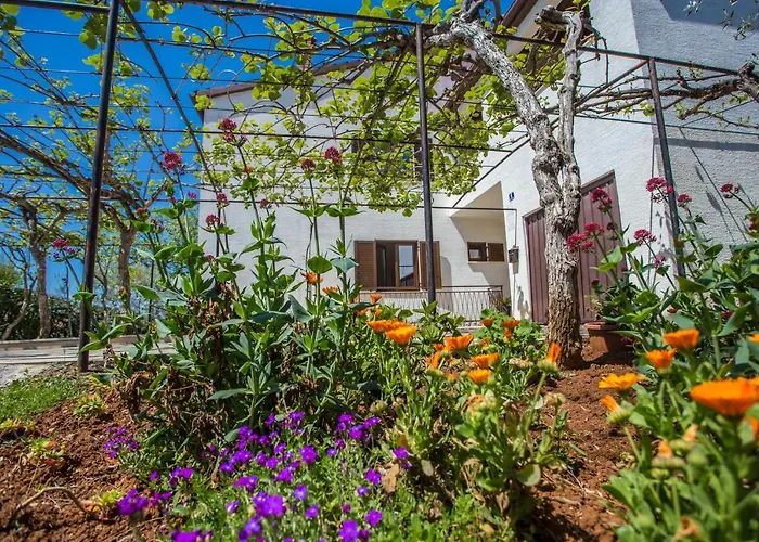 Poreč Accommodation *