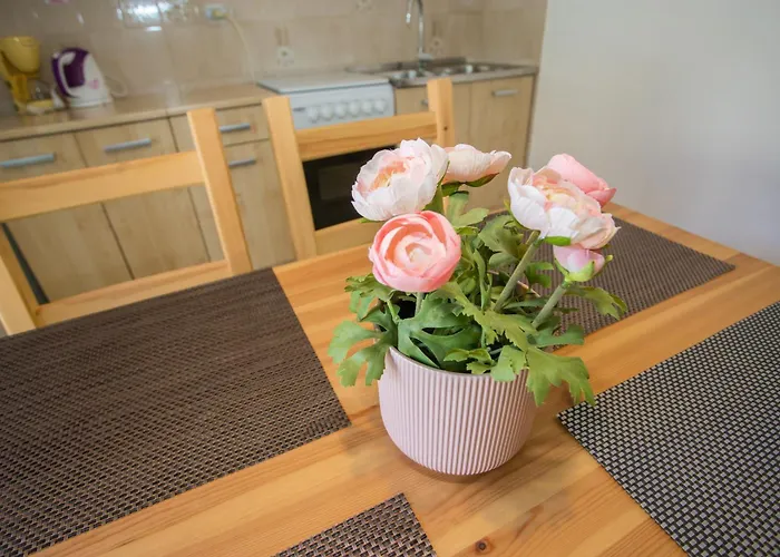 Poreč Accommodation